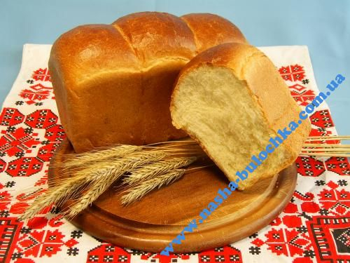 Сайка ніжна